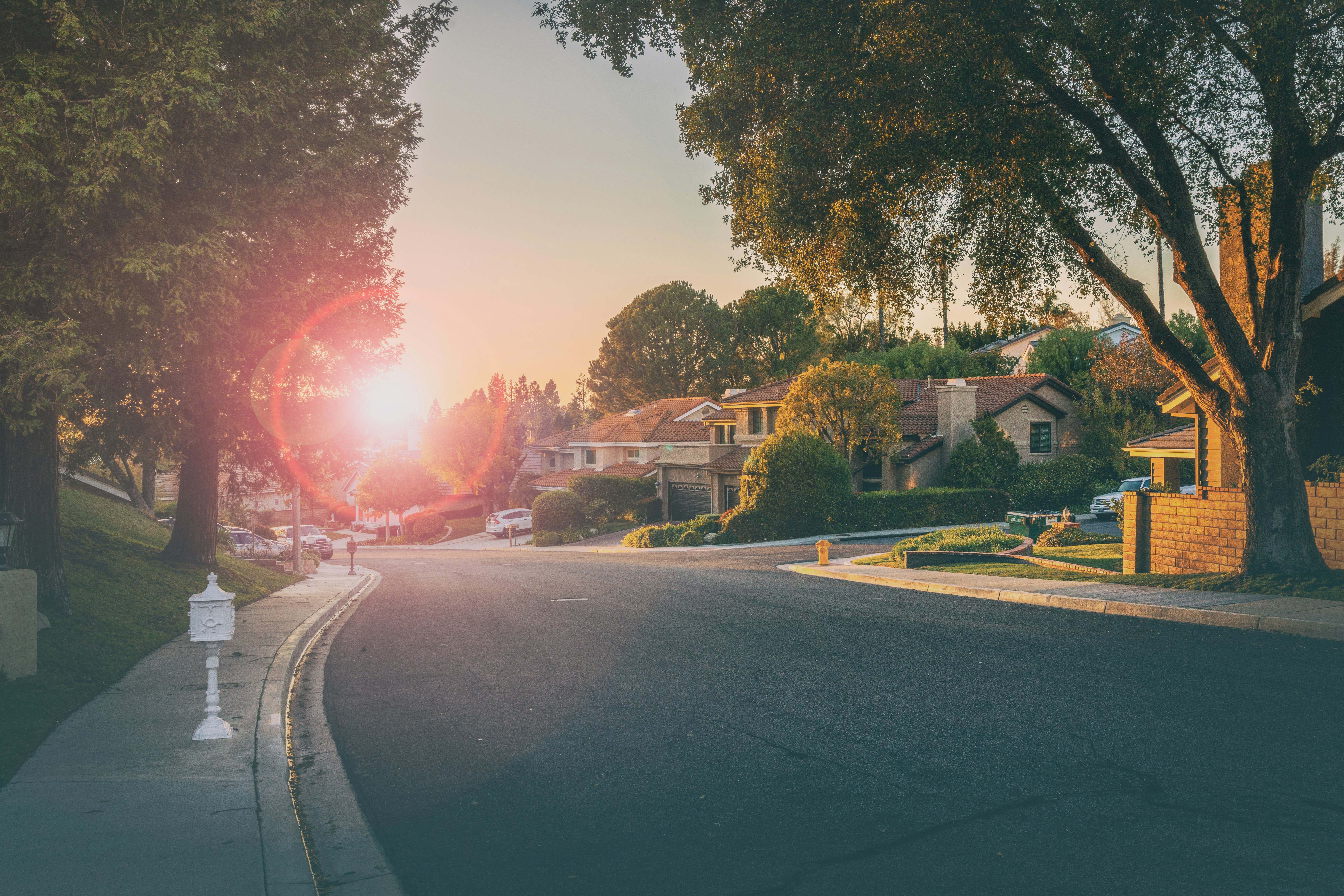 A tree-lined Southern California neighborhood street glowing at golden-hour sunset